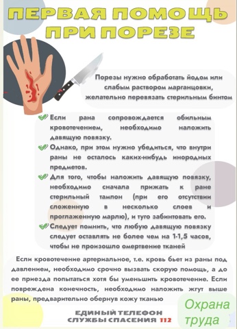 foto 2025 02 05 17 44 4